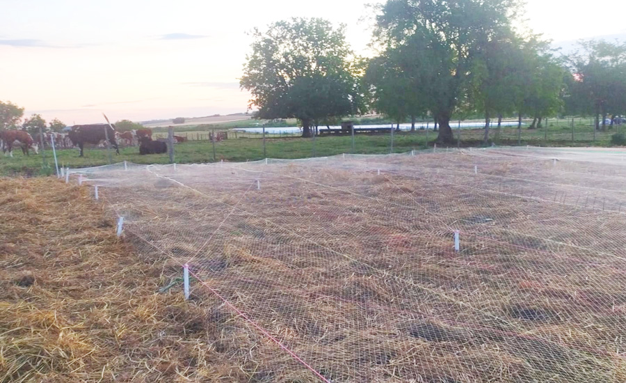 Evaluación de eficacia, selectividad y comportamiento de productos con nuestros ensayos regulados