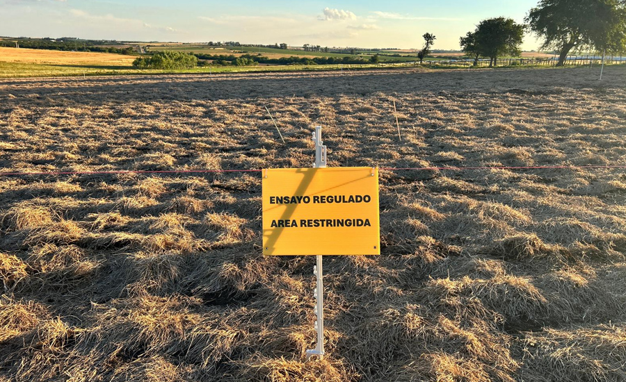 Evaluación de eficacia, selectividad y comportamiento de productos con nuestros ensayos regulados