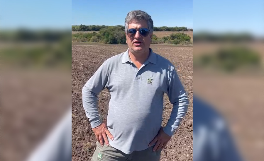 Avanzando en ensayos para maltería
